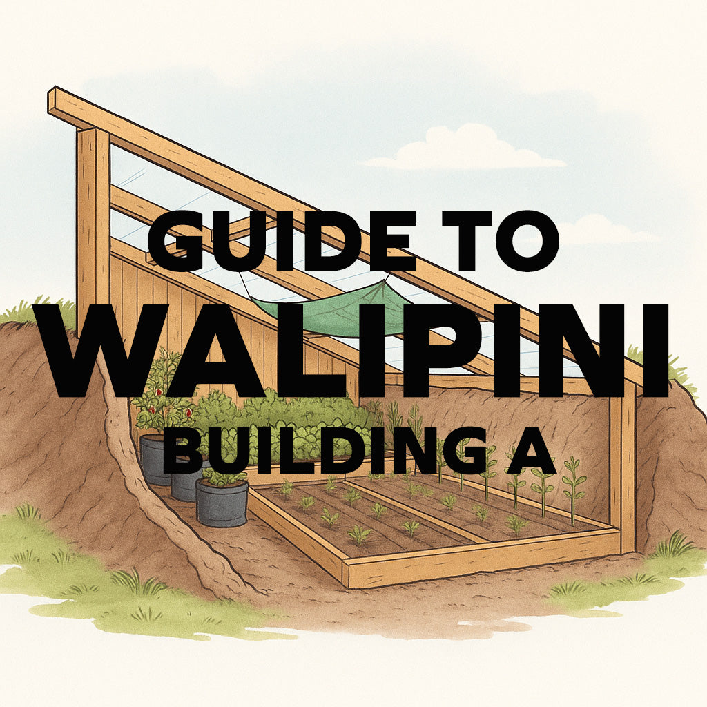 DIY Walipini Greenhouse: Our Sonoran Desert Build Guide